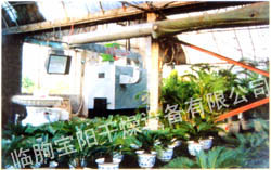 Greenhouse and Flower Heating Equipment