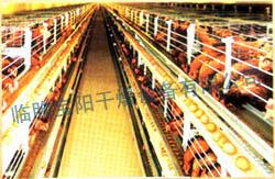 Heating system of livestock house